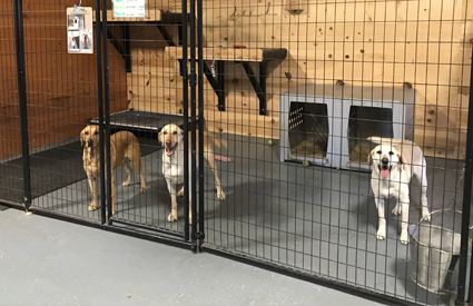 the ranch kennel